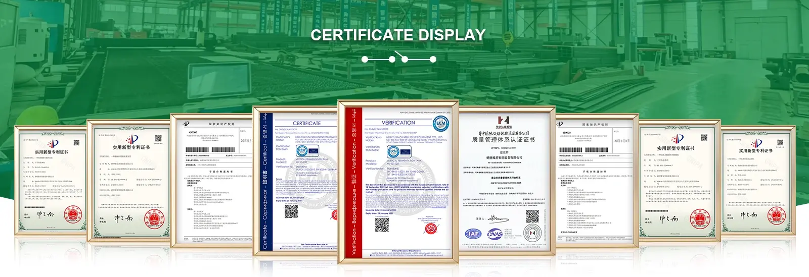 CERTIFICATE DISPLAY